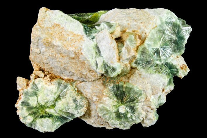 Radiating, Green Wavellite Crystal Aggregation - Arkansas #163080